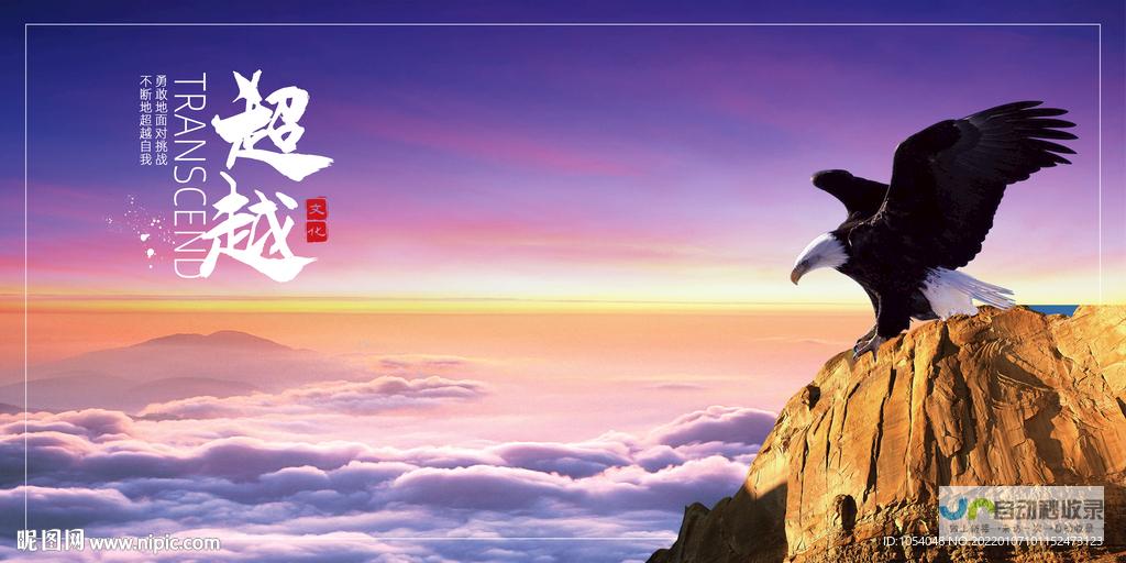 超越一般模板：定制网站开发，让您的在线业务脱颖而出