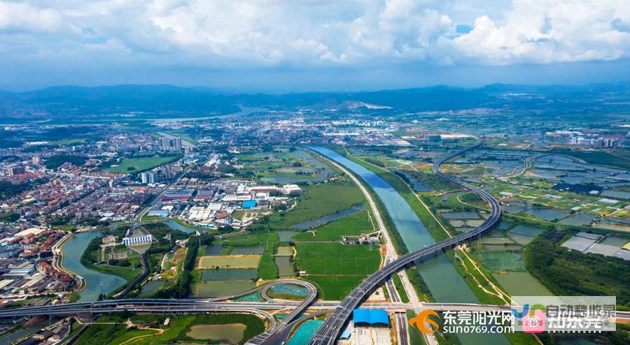 东莞网络建设：构建智慧城市，驱动经济发展