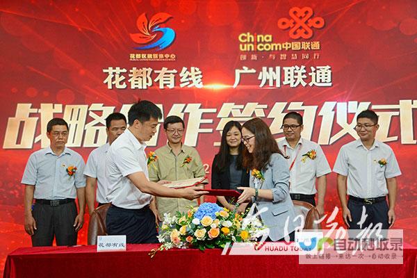花都网络公司: 专业网络服务，助您在数字世界脱颖而出