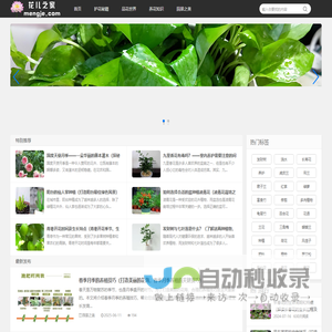 花儿之家_花卉养护的温馨港湾